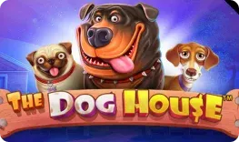 AllSpins – The Dog House